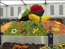 Giant Flower Fruit